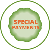 Special payments icon
