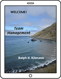 Kilmann Team Management cover image