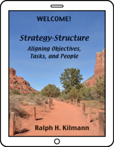 Aligning Strategy-Structure