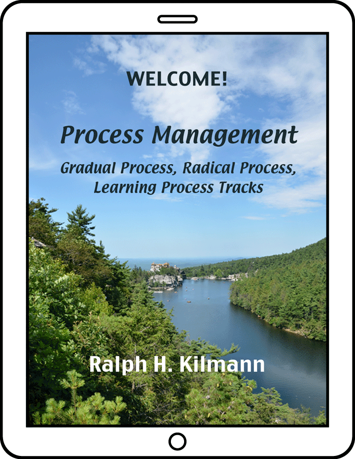 Improving Process Management for Organizations