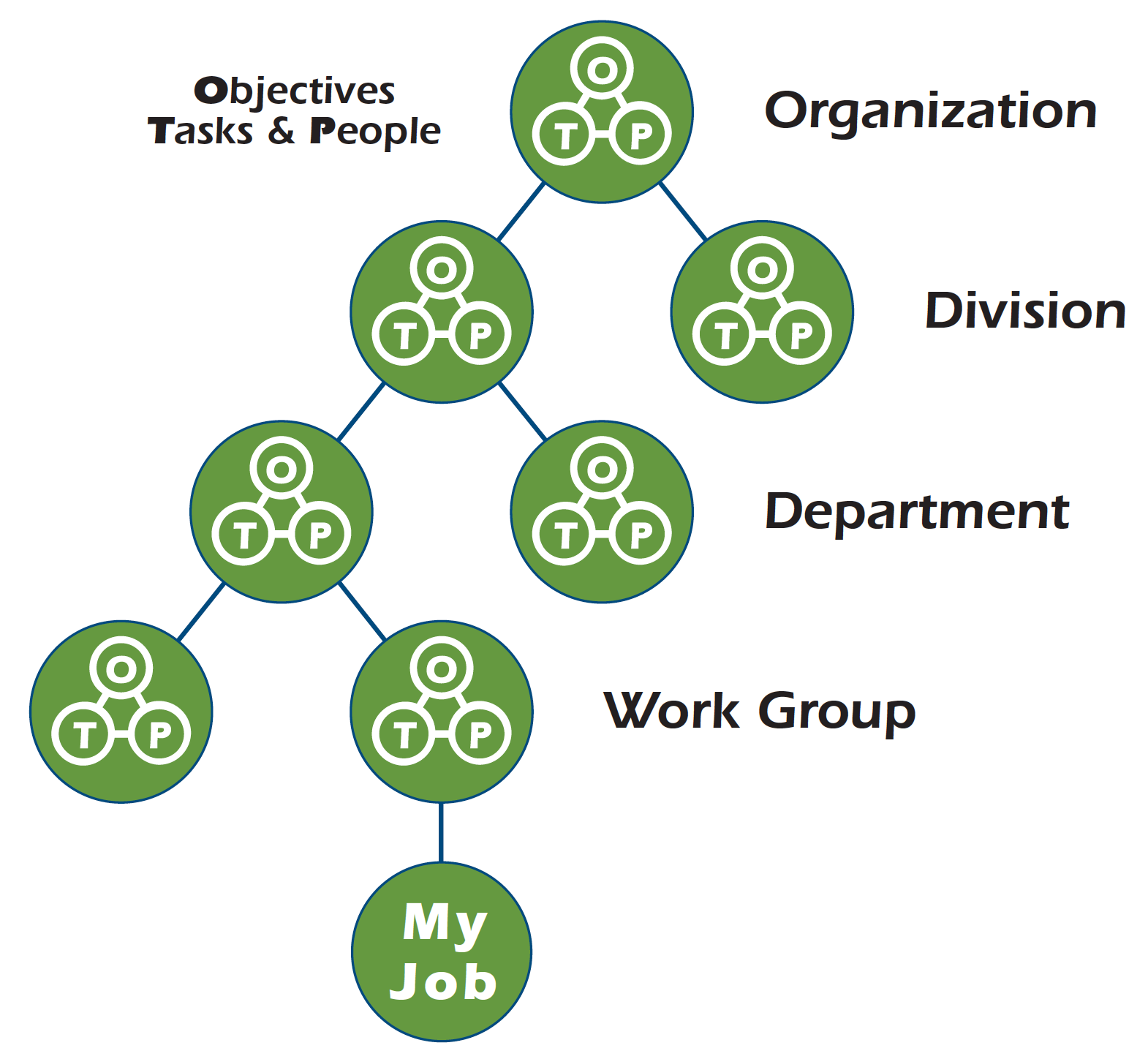 Aligning Strategy-Structure Throughout an Organization
